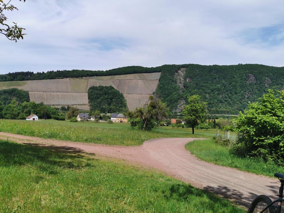 Gemuetliche 90 Qm Wohnung In Saarburg, Zentral Gelegen, Garten Mit Aussicht, Separater Eingang מראה חיצוני תמונה